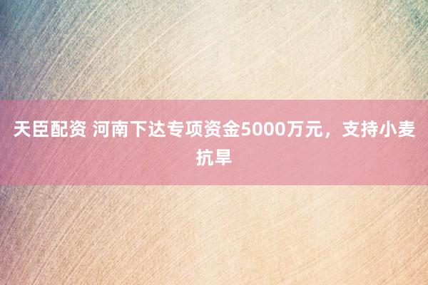 天臣配资 河南下达专项资金5000万元，支持小麦抗旱