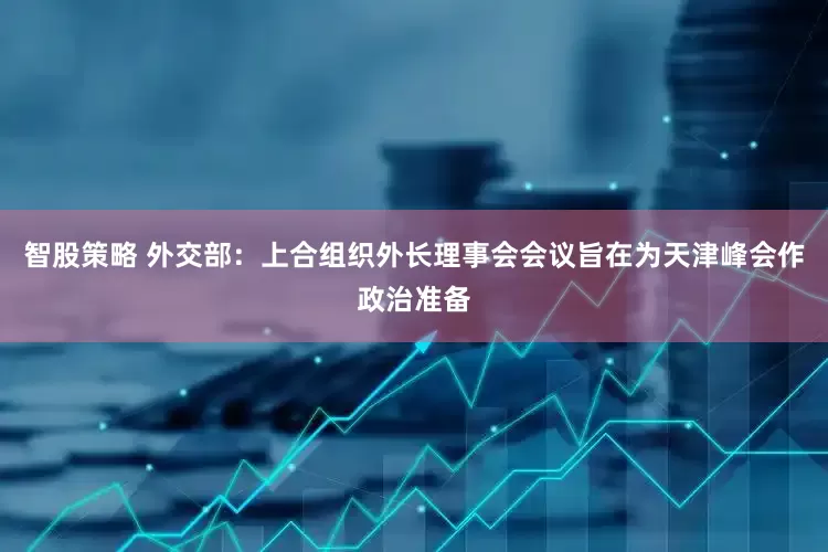智股策略 外交部：上合组织外长理事会会议旨在为天津峰会作政治准备
