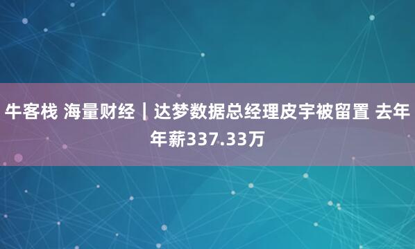 牛客栈 海量财经｜达梦数据总经理皮宇被留置 去年年薪337.33万
